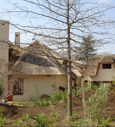 micon thatchsayf - Featured-Projects 6